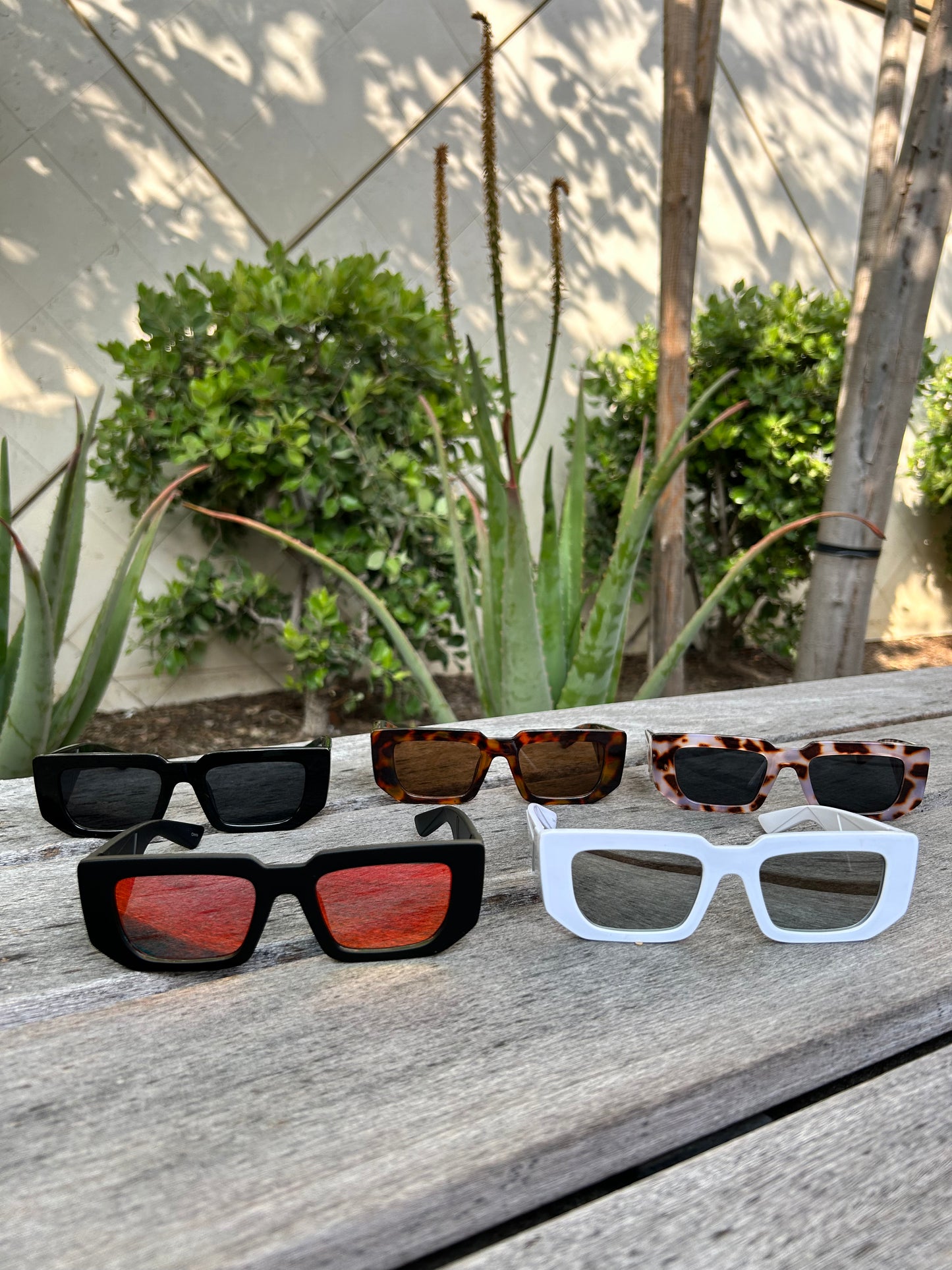 Angel Sunnies